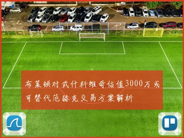 布莱顿对武什科维奇估值3000万或可替代范赫克交易方案解析